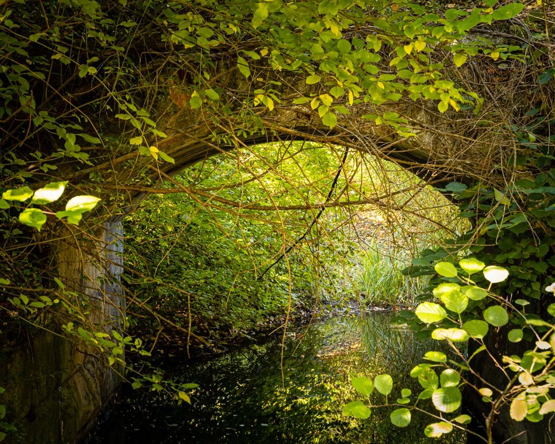 Märzfeld Fundamentreste, Langwasser