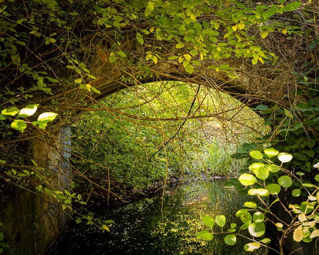 Märzfeld Fundamentreste, Langwasser