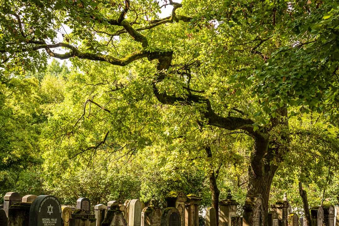 Neuer Jüdischer Friedhof